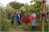 Sdtiroler Wein